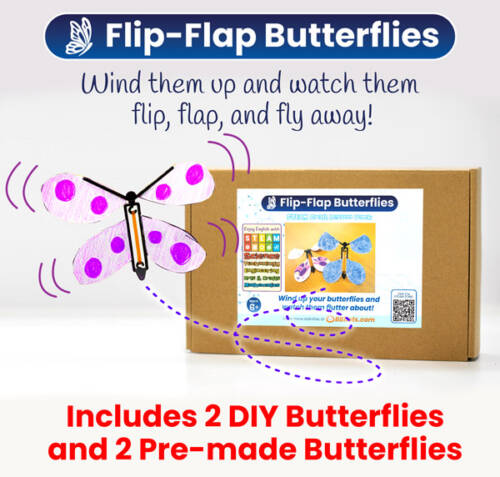 video-ffbfkitpromo flip flap butterfly box thumb