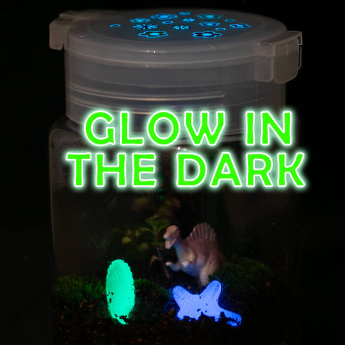 glow and grow terrarium glowing