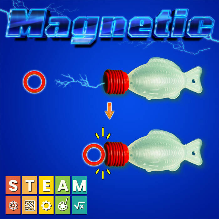 cartesian diver STEAM kit magnetism